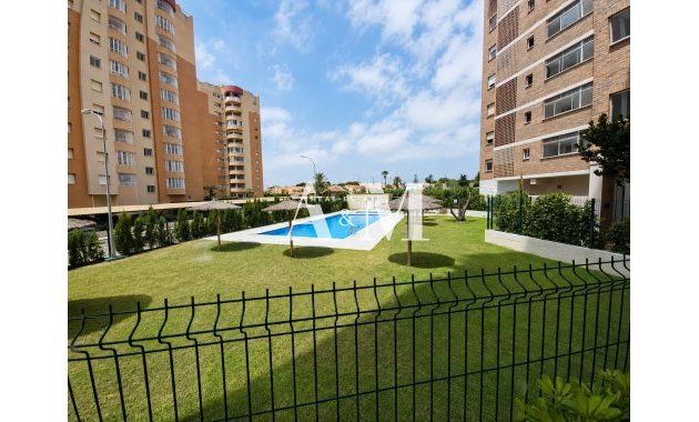 Long Term Rental - Apartment / flat - Dehesa de Campoamor