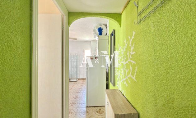Long Term Rental - Apartment / flat - Torrevieja