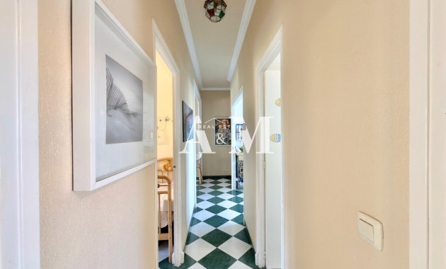Long Term Rental - Apartment / flat - Torrevieja - Nueva Torrevieja 