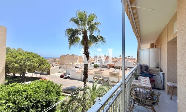 Long Term Rental - Apartment / flat - Torrevieja - Nueva Torrevieja 