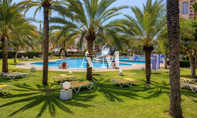 Long Term Rental - Apartment / flat - Torrevieja - Centro