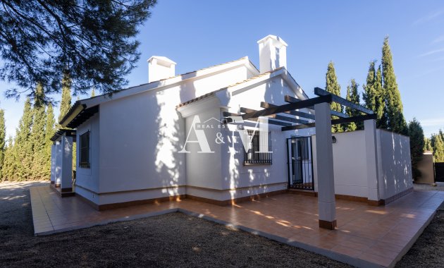 Nouvelle construction - detached - Fuente Alamo