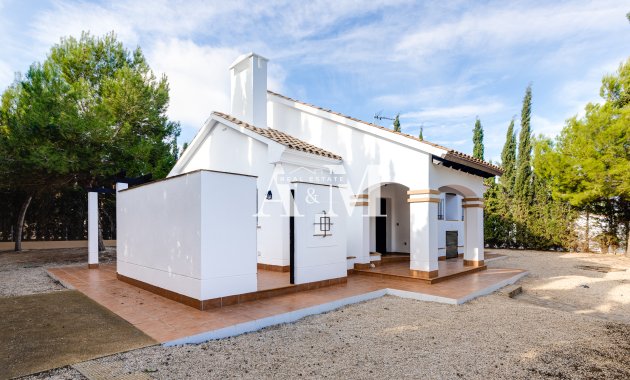 Nouvelle construction - detached - Fuente Alamo