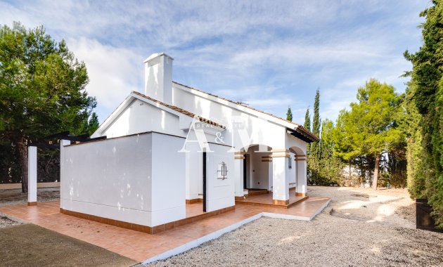 Nouvelle construction - detached - Fuente Alamo