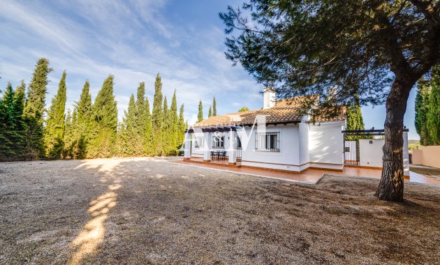 Nouvelle construction - detached - Fuente Alamo