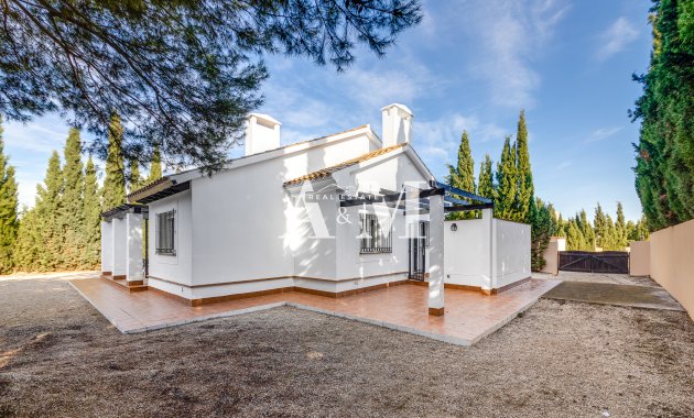 Nouvelle construction - detached - Fuente Alamo