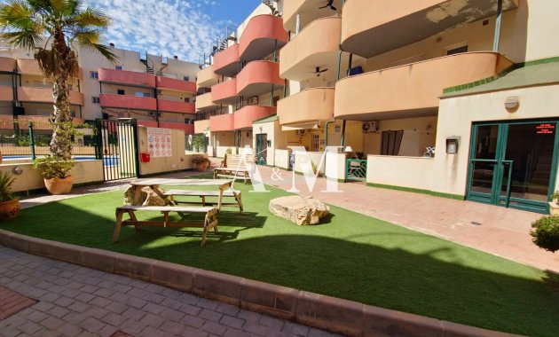 Location à long terme - Appartement - Almoradí