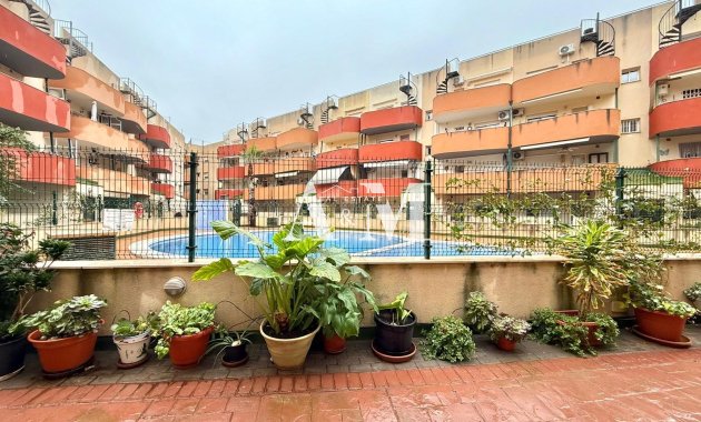 Location à long terme - Appartement - Almoradí
