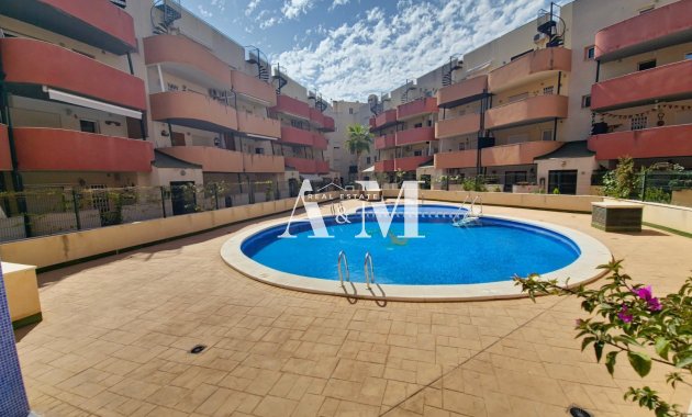 Location à long terme - Appartement - Almoradí
