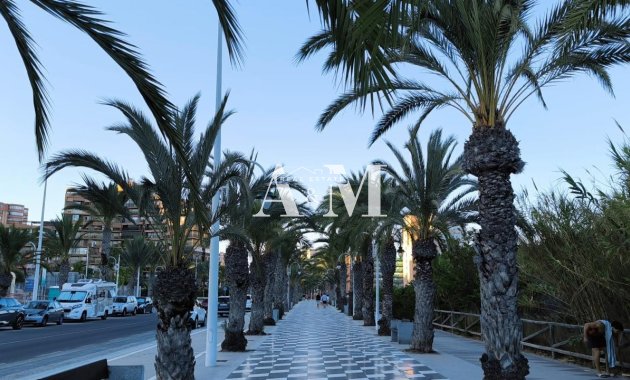 Long Term Rental - Penthouse - Arenales del Sol - Arenales