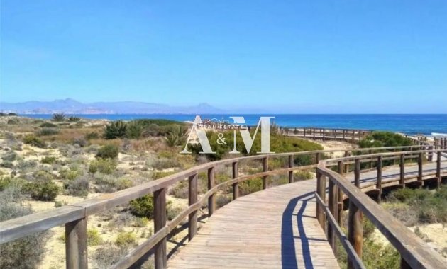 Long Term Rental - Penthouse - Arenales del Sol - Arenales
