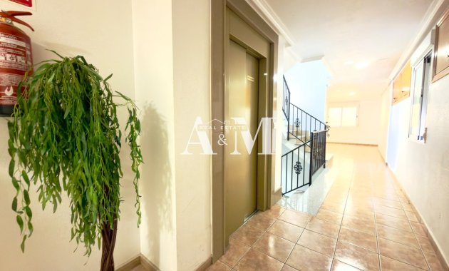 Long Term Rental - Apartment / flat - Pilar de la Horadada