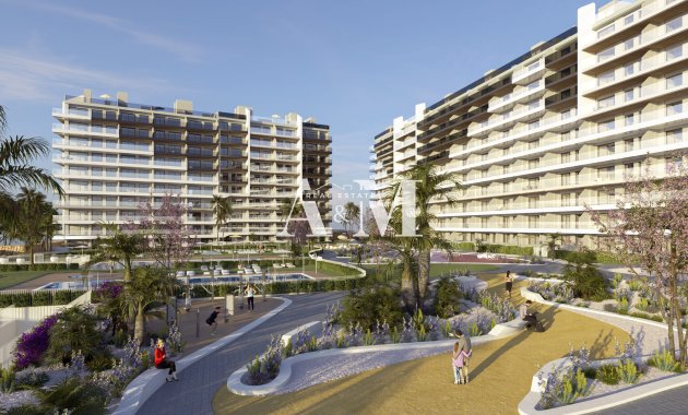 Obra nueva - apartment - Torrevieja