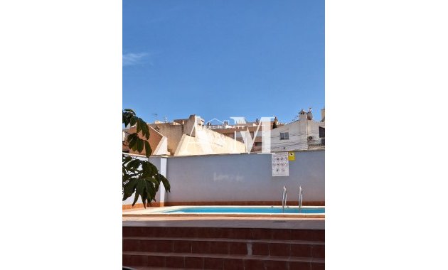 Long Term Rental - Apartment / flat - Torrevieja - Nueva Torrevieja 