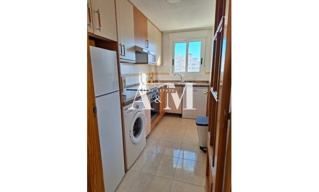 Long Term Rental - Apartment / flat - Torrevieja - Nueva Torrevieja 