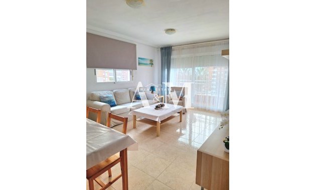 Long Term Rental - Apartment / flat - Torrevieja - Nueva Torrevieja 