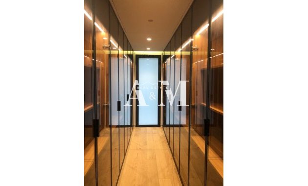 Obra nueva - detached - Molina de Segura