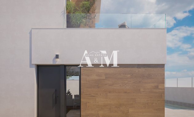 Obra nueva - detached - Pilar de la Horadada