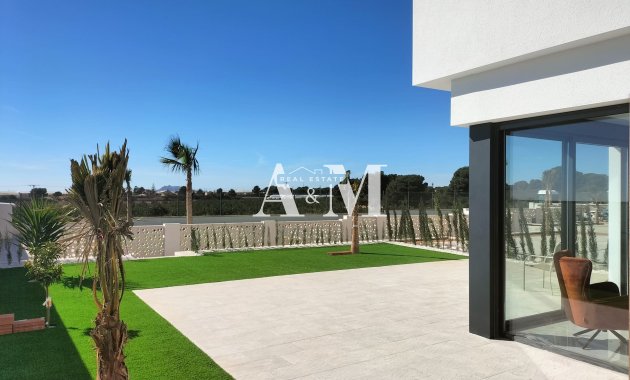 Новое здание - detached - Pilar de la Horadada