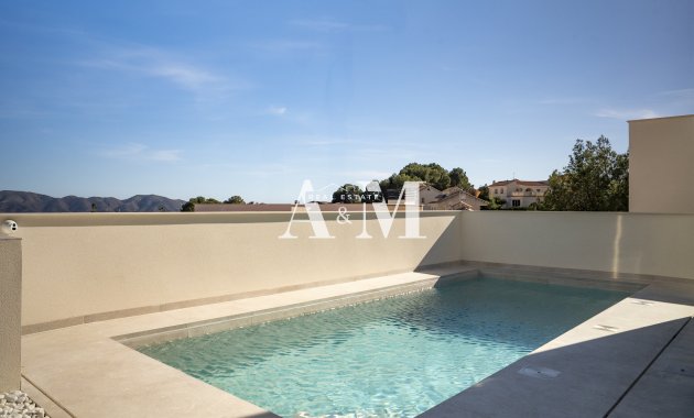 Nouvelle construction - detached - La Nucía