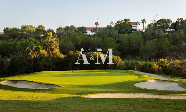 New Build - ground-floor - Algorfa