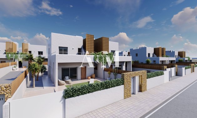 Nouvelle construction - detached - Pilar de la Horadada