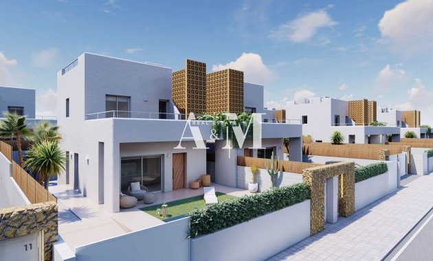Nouvelle construction - detached - Pilar de la Horadada