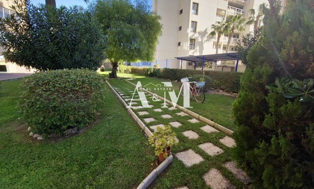 Location à long terme - Appartement - Torrevieja - La Veleta