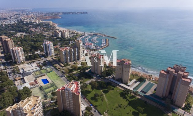 Nouvelle construction - apartment - Orihuela Costa