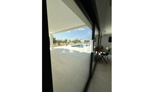 Новое здание - detached - Pinoso