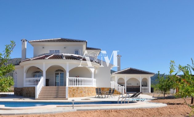 Nouvelle construction - detached - Pinoso