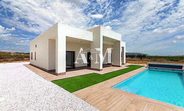 Nouvelle construction - detached - Pinoso