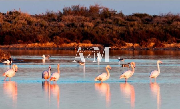 New Build - detached - San Pedro del Pinatar