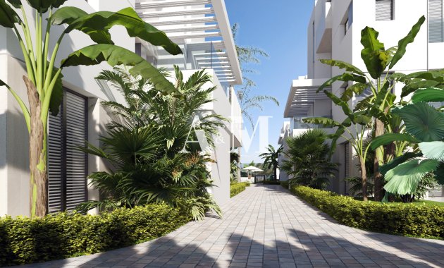 Obra nueva - apartment - Torre-Pacheco