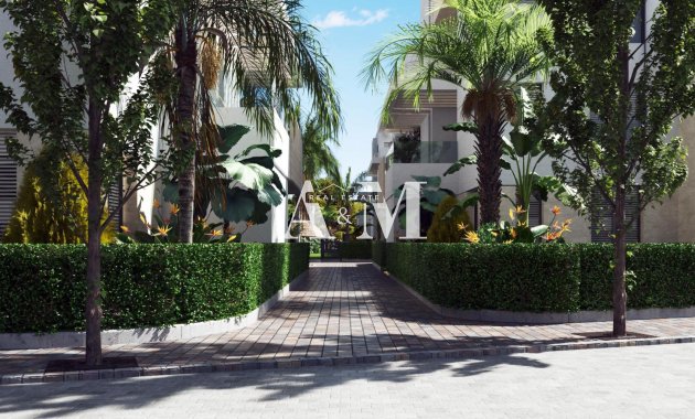 Новое здание - ground-floor - Torre-Pacheco