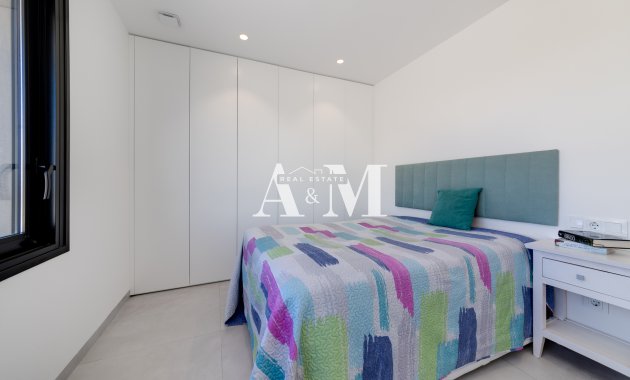 Obra nueva - detached - Pilar de la Horadada