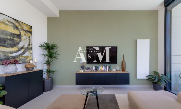 Obra nueva - detached - Pilar de la Horadada