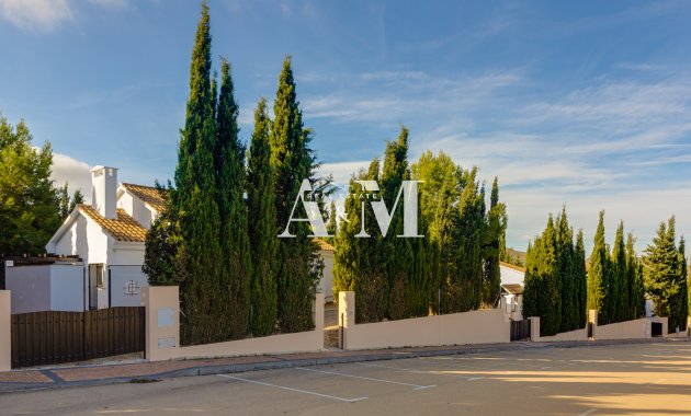 Новое здание - terraced - Fuente Alamo