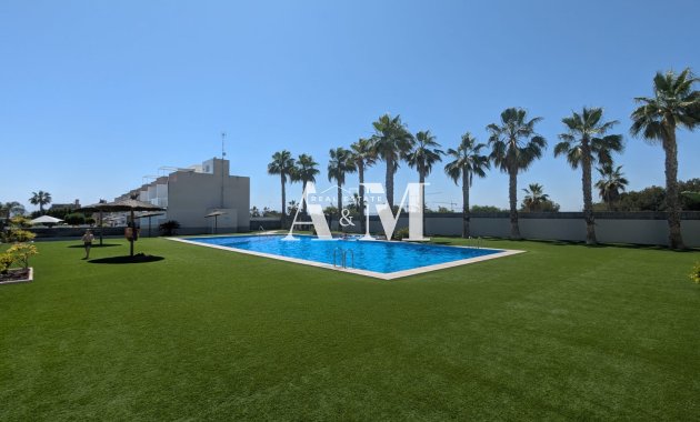 Location à long terme - Étude - Torrevieja - Nueva Torrevieja - Aguas Nuevas