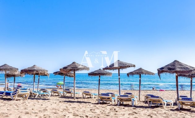 Location à long terme - Étude - Torrevieja - Torrelamata - La Mata