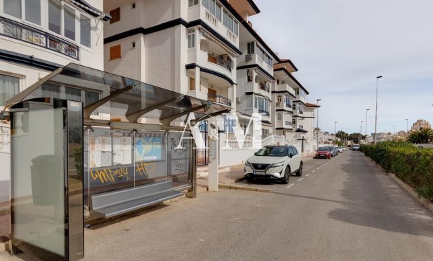 Location à long terme - Étude - Torrevieja - Torrelamata - La Mata