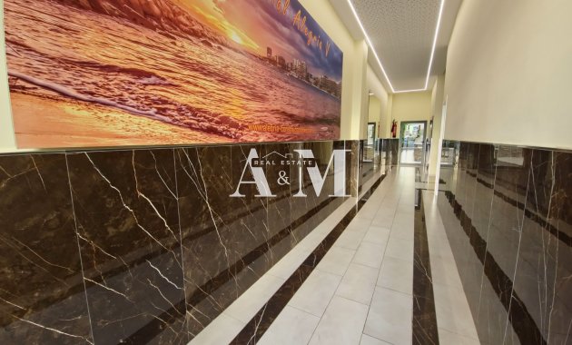 Long Term Rental - Apartment / flat - Torrevieja - Playa de los Locos