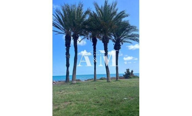 Alquiler a largo plazo - Apartamento / piso - Torrevieja - La Veleta