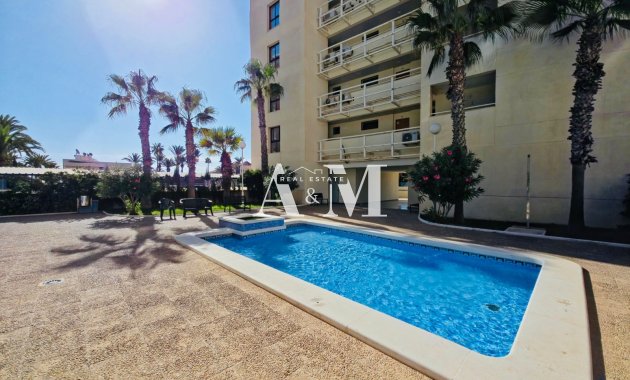 Alquiler a largo plazo - Apartamento / piso - Torrevieja - La Veleta