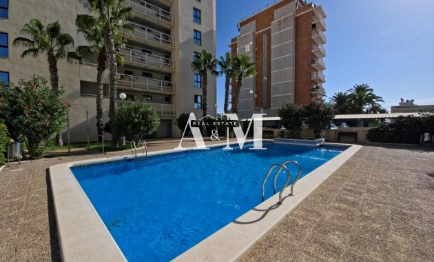 Alquiler a largo plazo - Apartamento / piso - Torrevieja - La Veleta