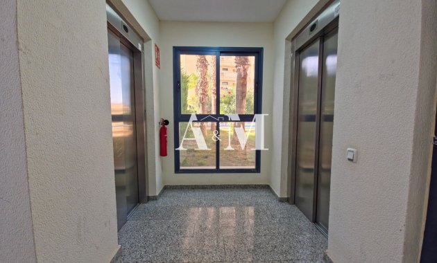 Alquiler a largo plazo - Apartamento / piso - Torrevieja - La Veleta