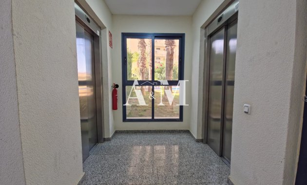 Alquiler a largo plazo - Apartamento / piso - Torrevieja - La Veleta