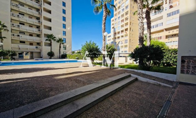 Alquiler a largo plazo - Apartamento / piso - Torrevieja - La Veleta