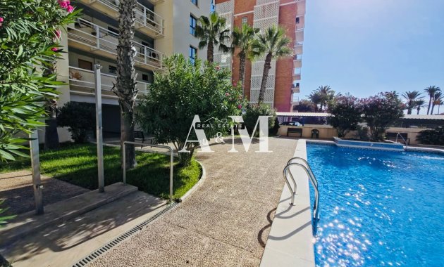Alquiler a largo plazo - Apartamento / piso - Torrevieja - La Veleta