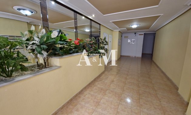 Long Term Rental - Apartment / flat - Torrevieja - Centro